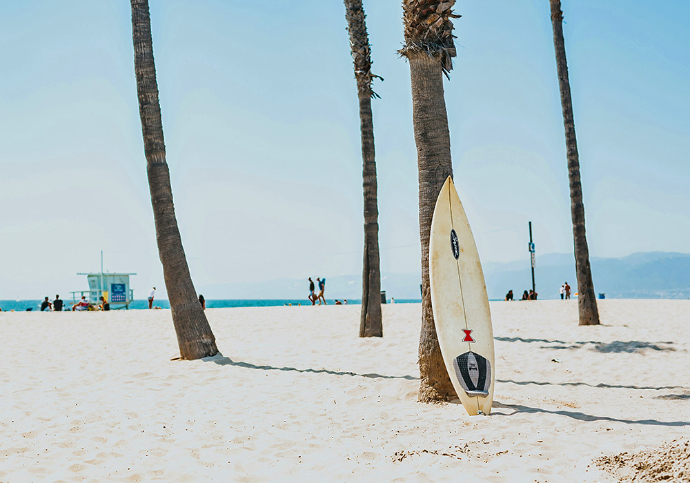 Planche de surf. © Tyler Nix.